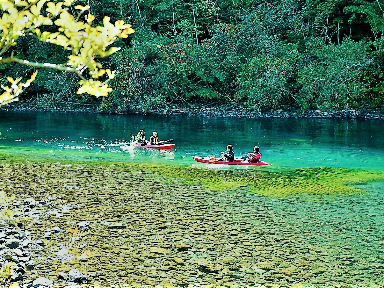 初心者大歓迎]手ぶらでOK！写真プレゼント♪水質トップクラスの透明度