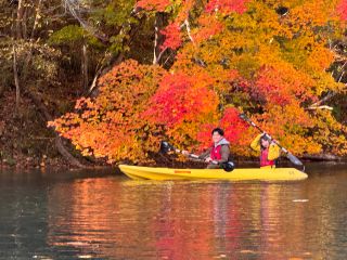 透き通る湖水と鮮やかな秋の色彩が織りなす景色は、まさに圧巻です。初心者でも楽しめる秋の支笏湖を体全体で味わう特別な体験が待っています。