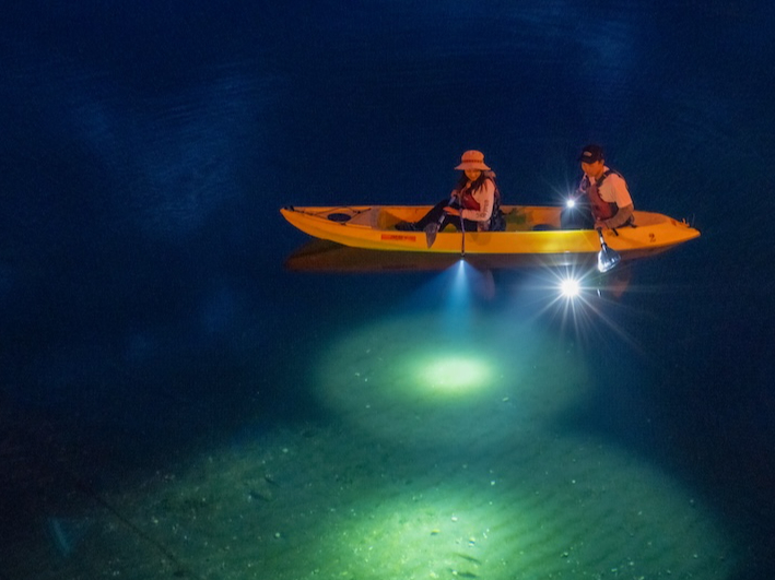 水質トップクラス国立公園支笏湖 プレミアムナイトカヤック ☆夜の支笏湖探検☆