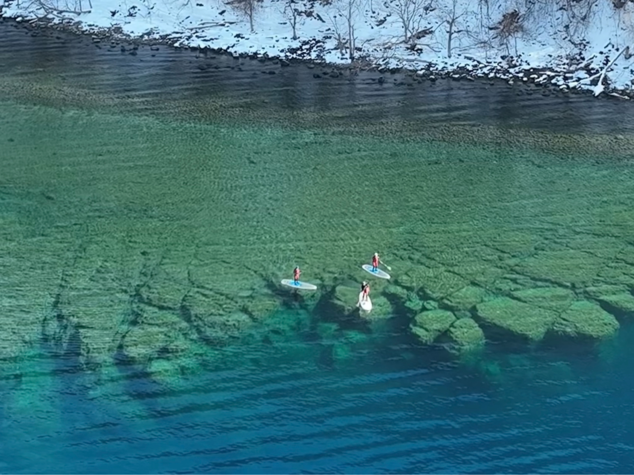 �_�C�r���O�p�h���C�X�[�c�Ŋ����Ȃ��I