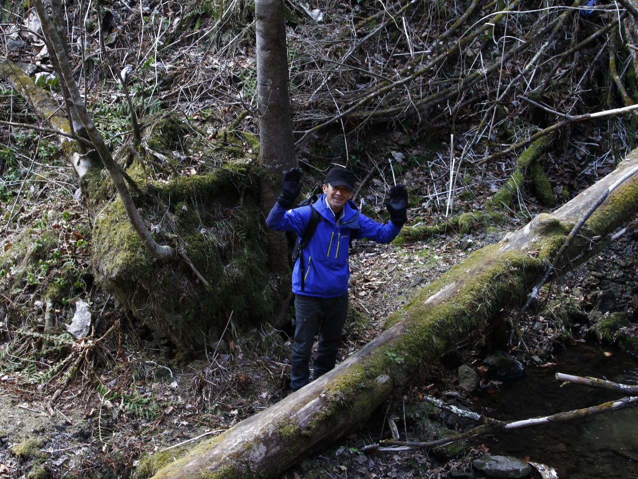 Ɍۑ̏̓KChT|[gĂ܂B