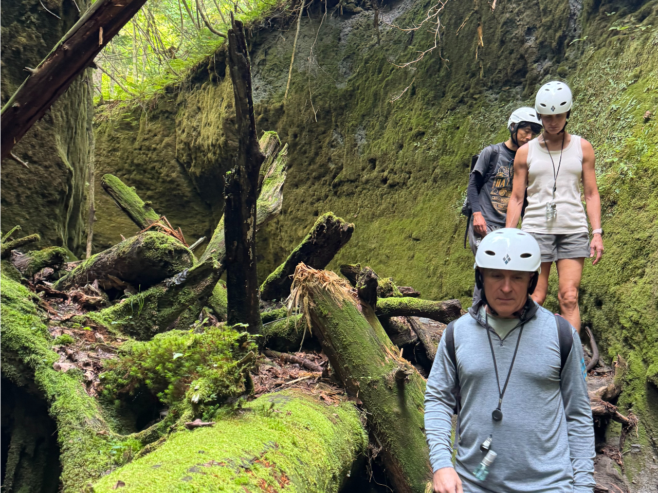 Moss Corridor Trekking Tour! Wander around the Moss Corridor