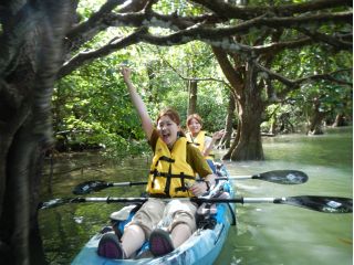 マングローブの森を探検だ!