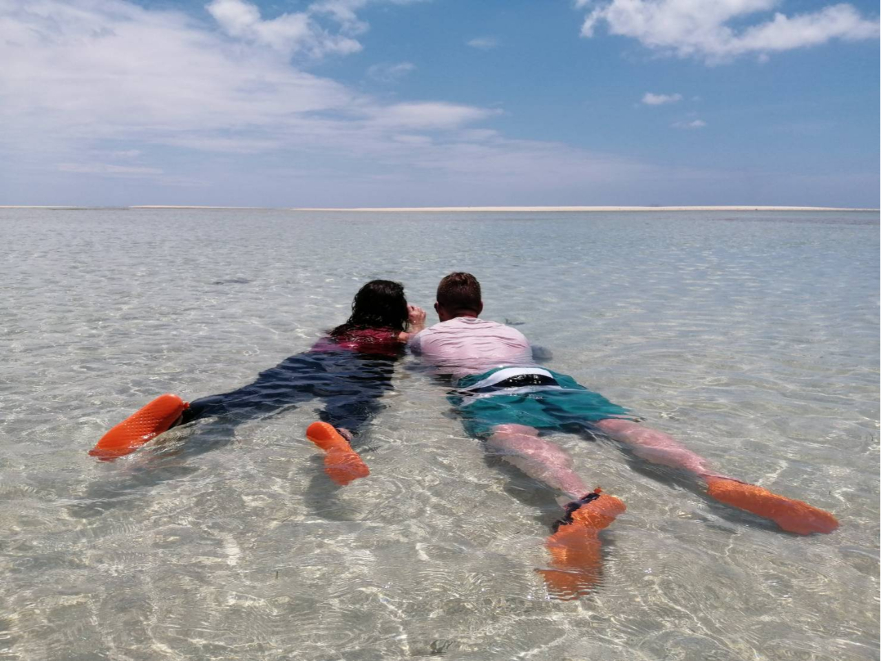 C̒yj̕lz𒭂߂āEEE