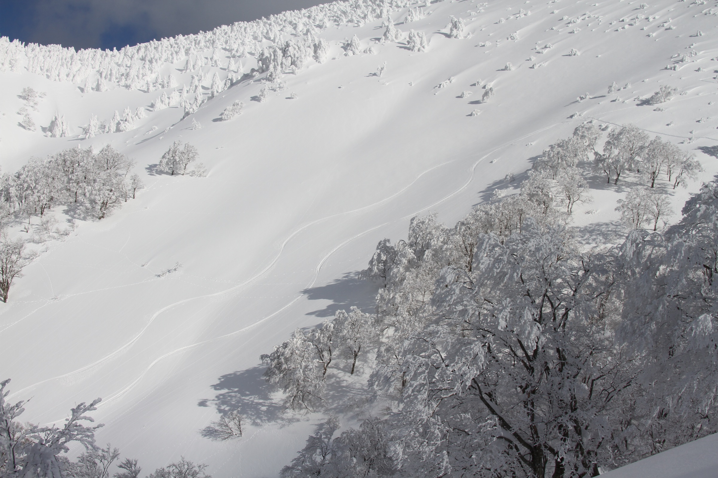 【1Dayツアー】岩木山バックカントリー(おひとり様13,000円)