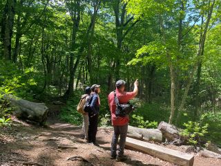 あそこにもブナの森の秘密が!