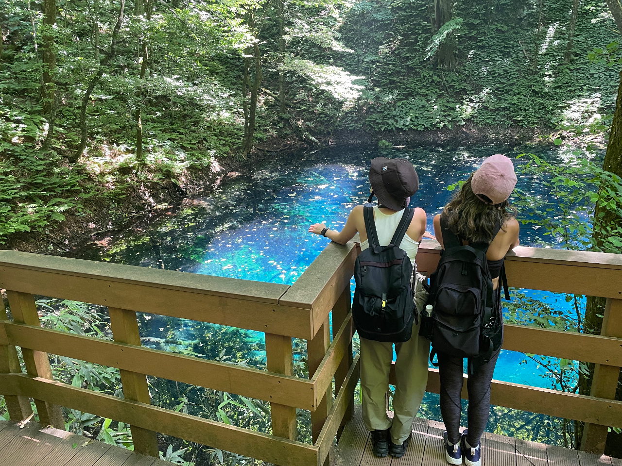 【送迎付き十二湖満喫プラン】弘前市周辺ならお迎えに伺います!