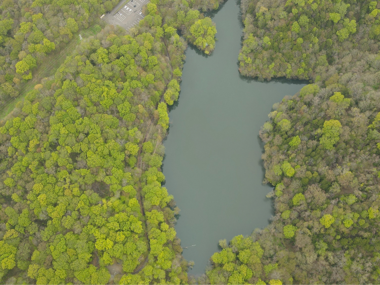 �{����̒r�B���̌`�Ɍ����邩�ȁH