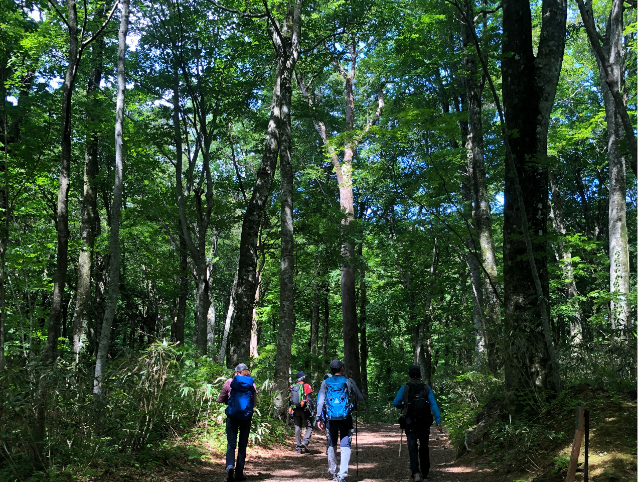 �[���u�i�̐X��