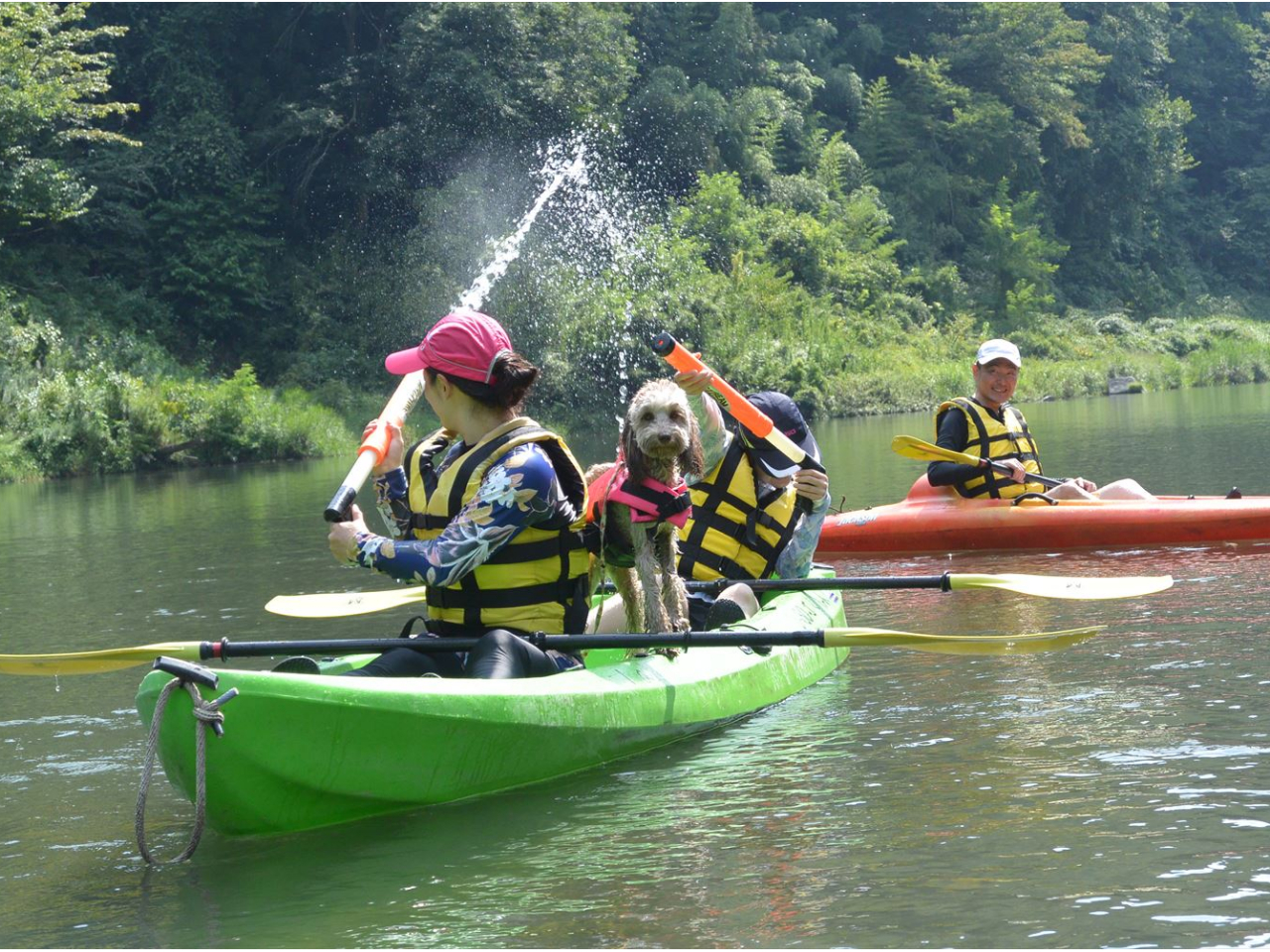 ペットも一緒に!