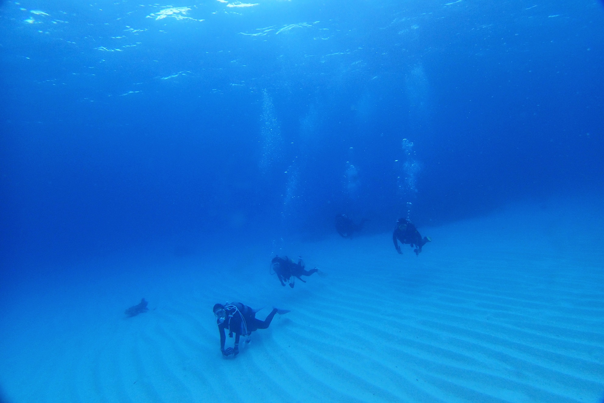 ʂ铧xɁAɊ邱ƊԈႢȂI