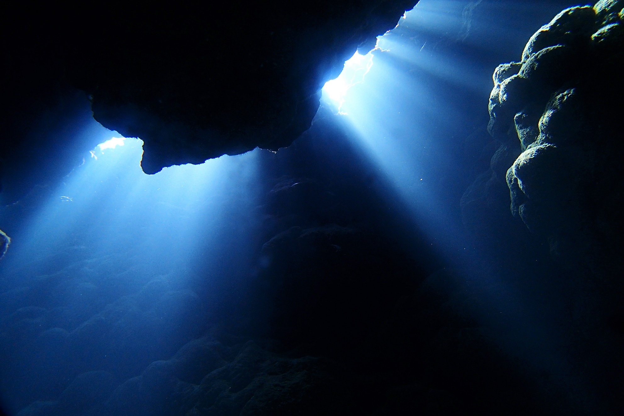 ɂ́AzIȌޑfGȒn`|Cg܂恙c