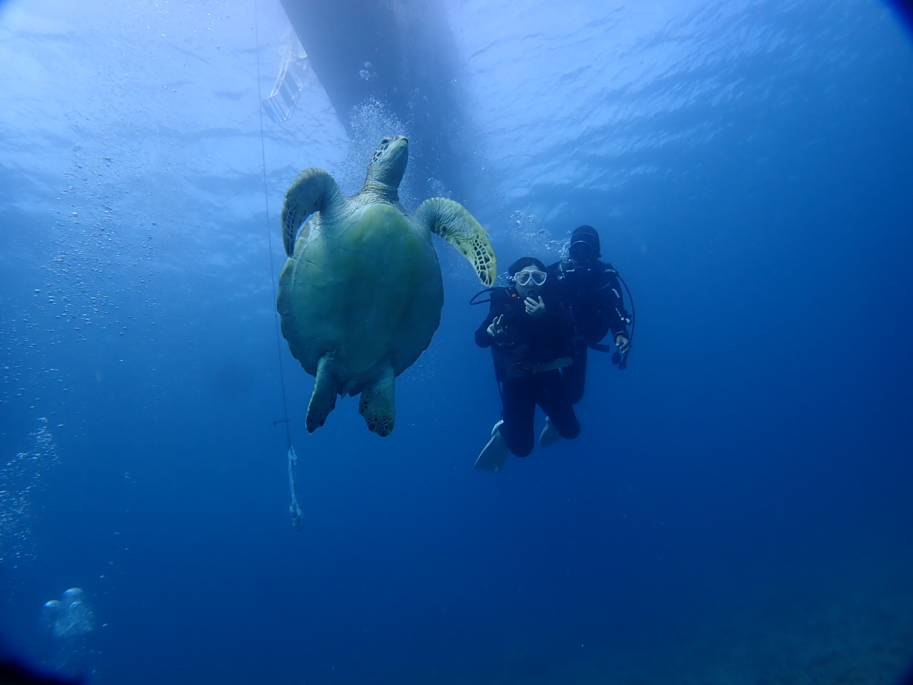 uE~KvƂ̏o邩܂`(^^)/