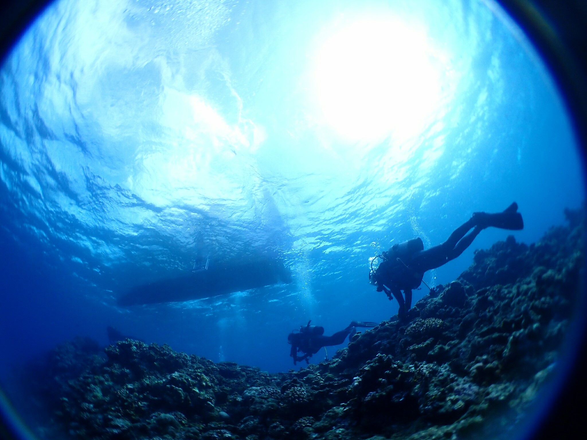 xQ̊Cňꏏɐ܂傤III