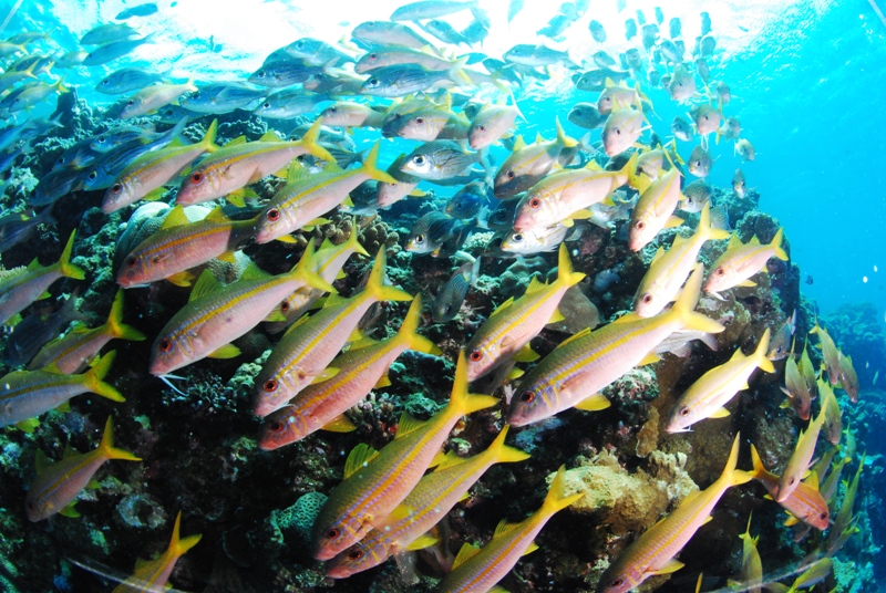 Qɖ܂傤̖LxȗlXȃ|Cg܂I