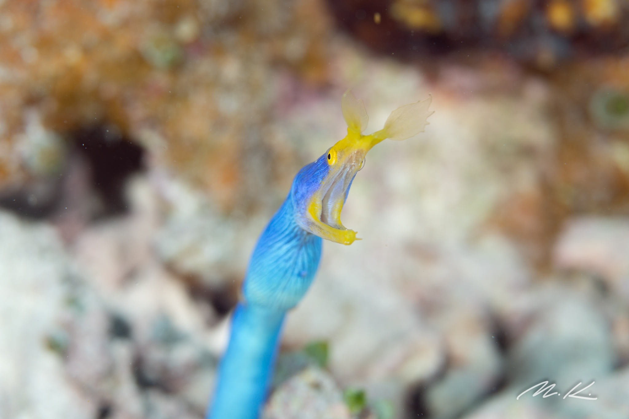 ̎ʐ^ЎBČĉIql񋟂ʐ^OO