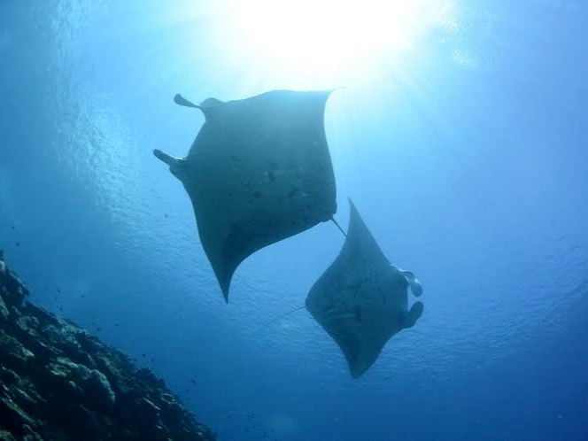 _Co[ɂȂāAu}^vɍs܂傤`(^O^)