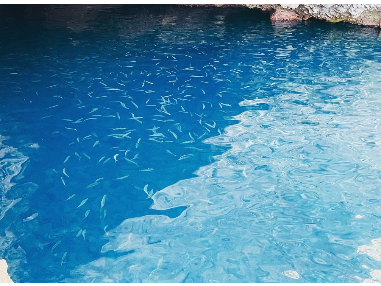 青い湖面 91cm×122cm ゴアテックス ゴアライズ3 RIPEN エアライズ アライ 山岳 テント