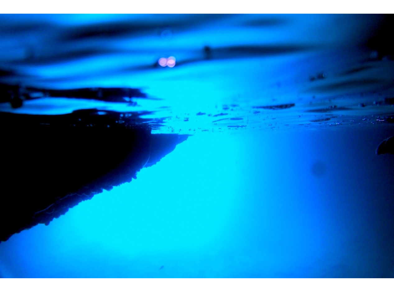 ̓AAOi@̋܂ŁA̓̌̋ŁAFXȐFʂĂ܂B