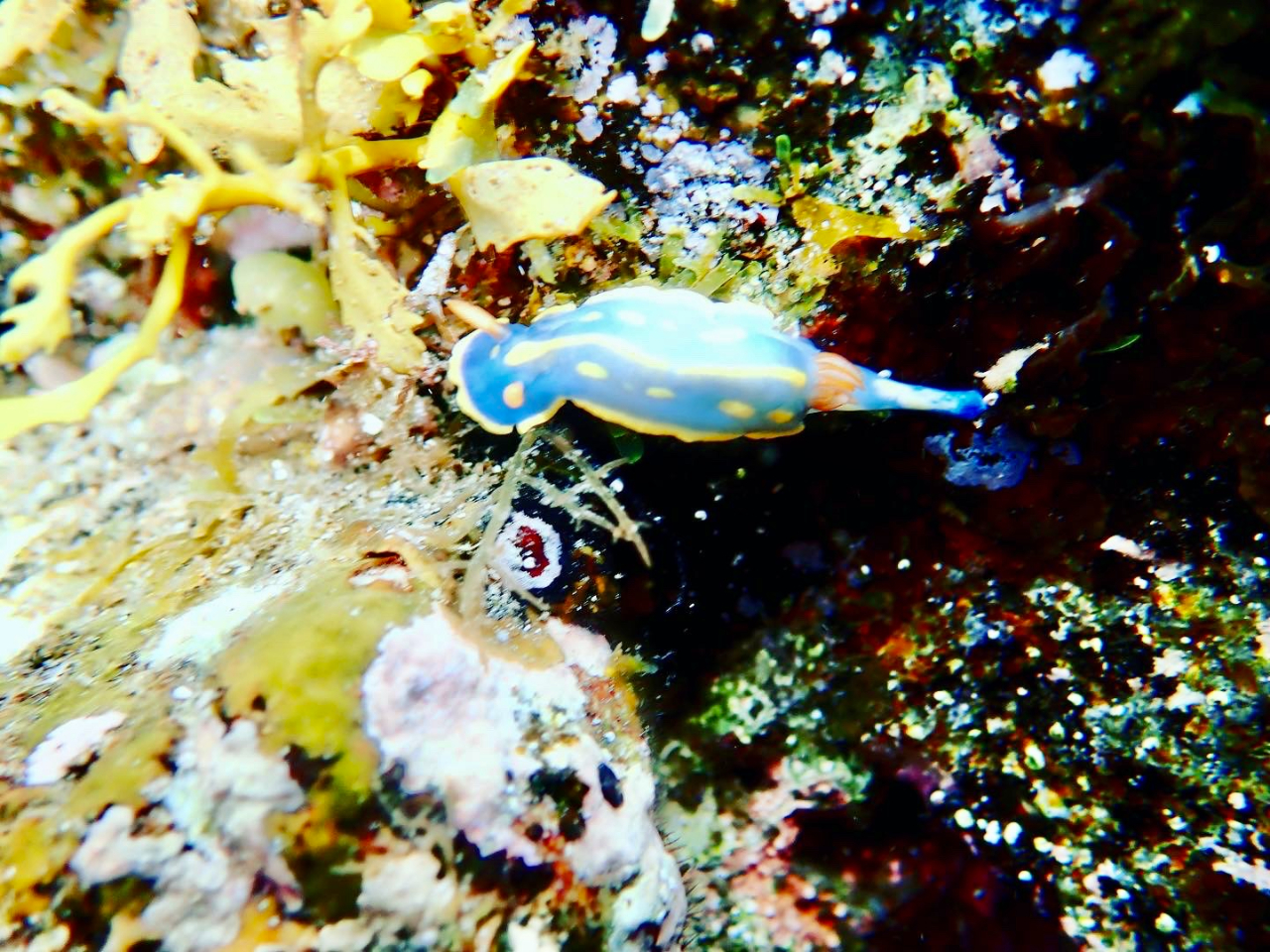 E~EVAAuREC^iSȂǁA9㔼ɂ́Aꂩ̍ɏA̋BkCɂAVтɗ܂B