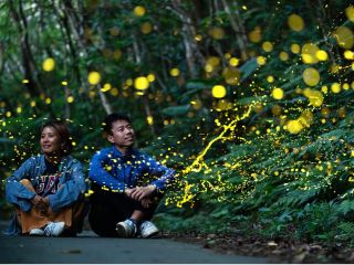 ホタルに囲まれたことありますか??