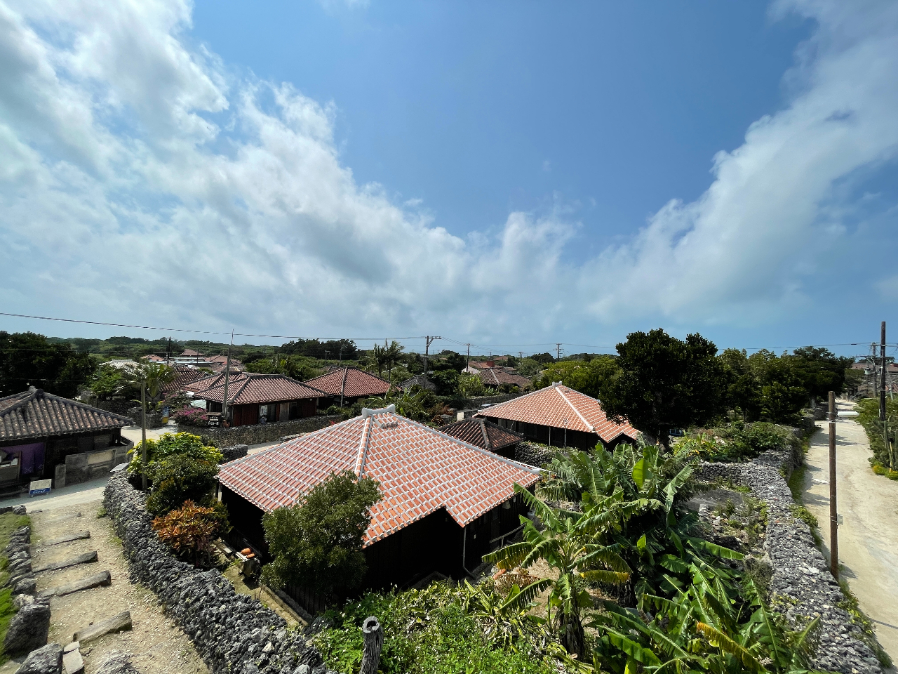 |xւ̉DOKǏic|xBԂɏA^TCNŎU􂵂A߂̃JtFȂǂЉ܂ˁBɂɂDȓł