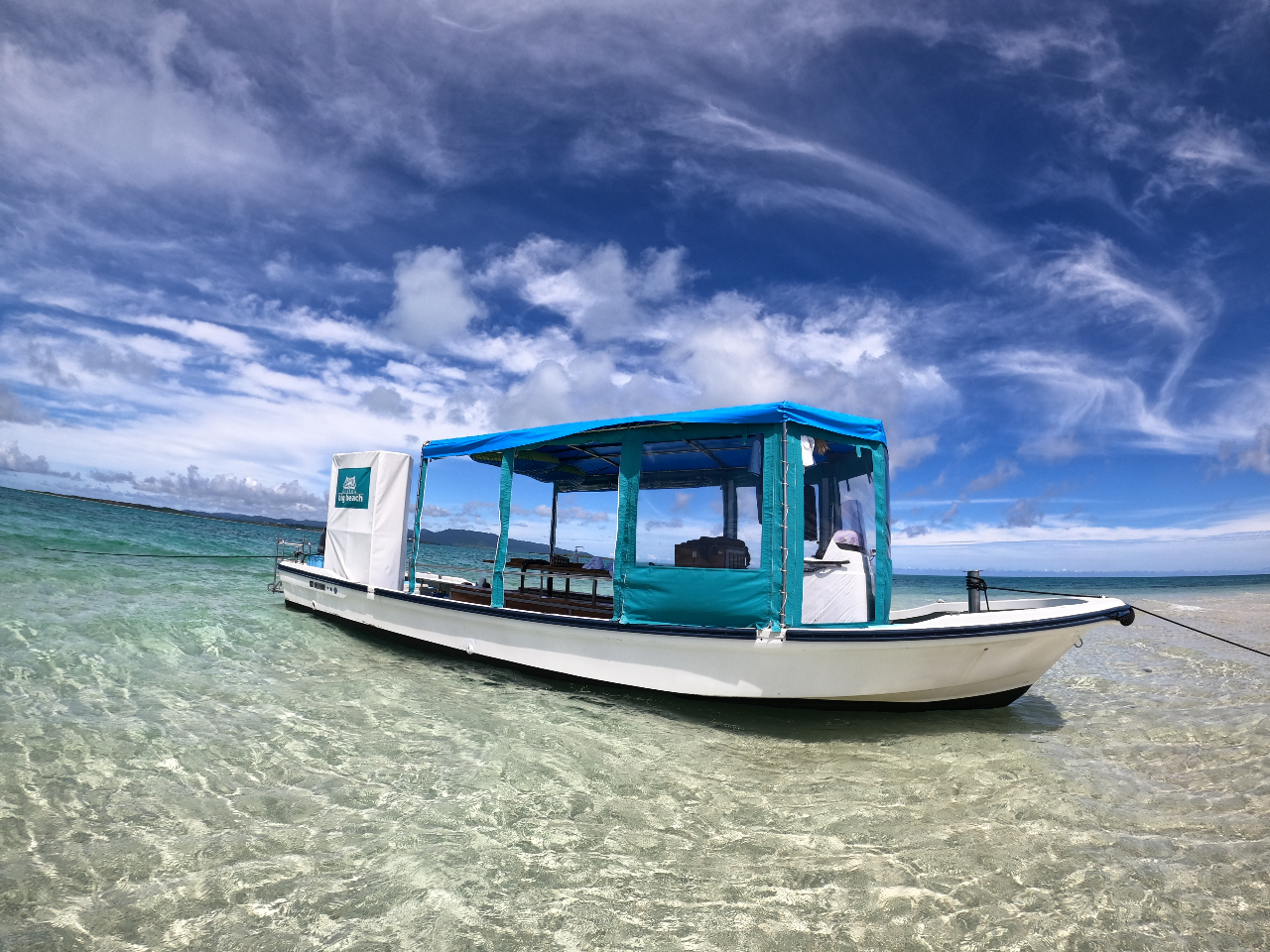 D͓EAgegEgCwʕxJ╗~Ẵeg~̂ňS