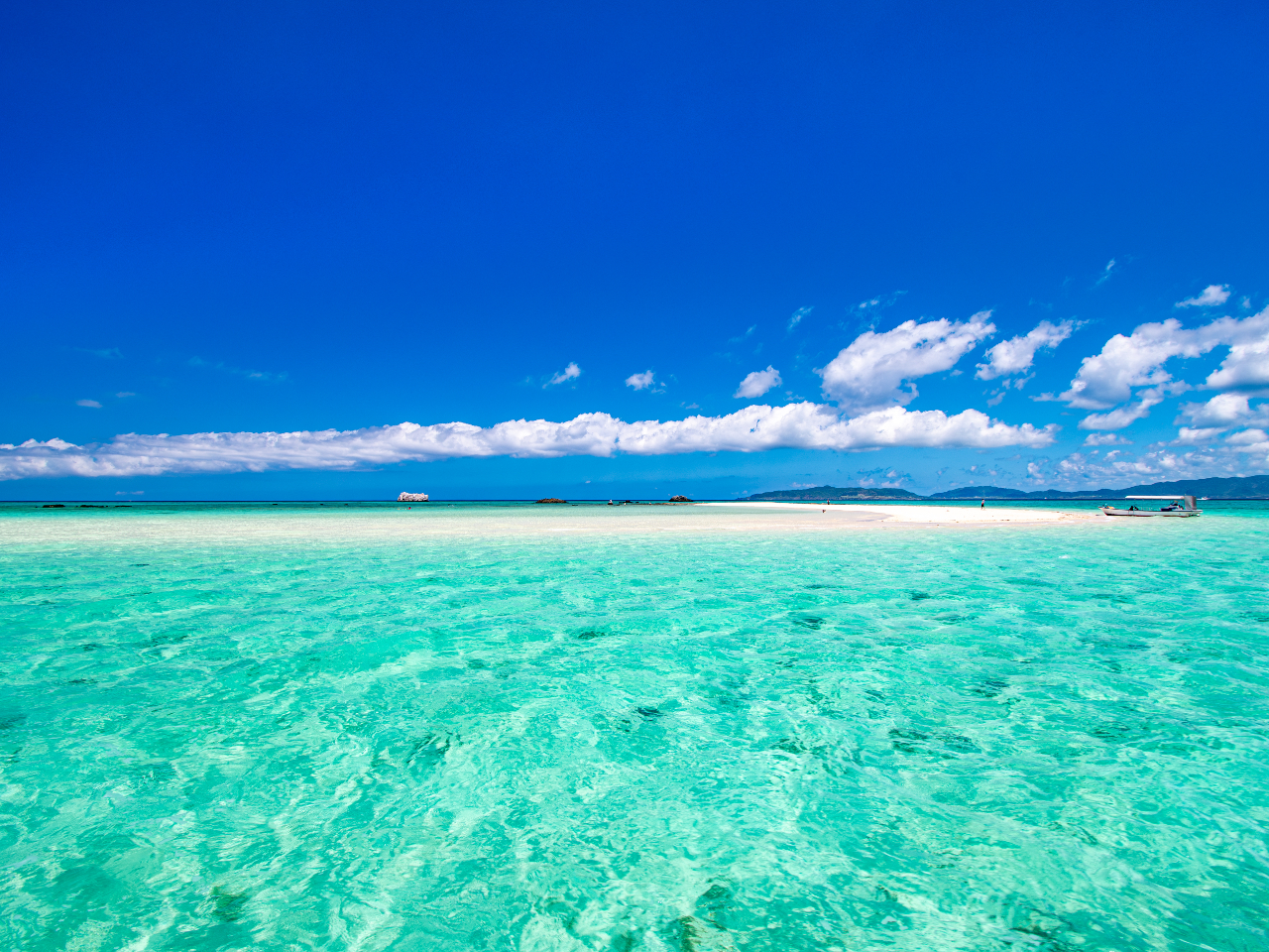 �㗤�͑��z�������ʒu�̐��ߌ㍠�B���͌��̓�������Y��ȃ^�C�~���O�B�����č��G���Ă��܂���B�������̂�т�߂����܂��傤�ˁB