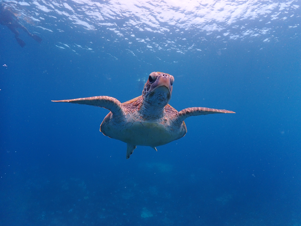 �������E�~�K�����ώ@�ł��܂��I