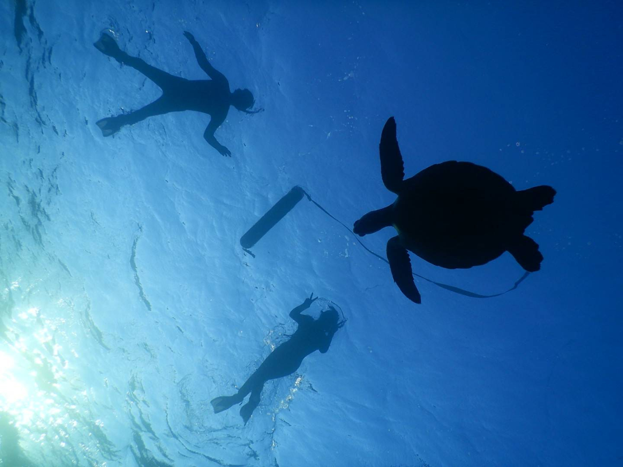 E~KVGbg摜Bełǂłˁ