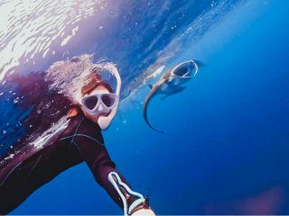 大迫力のマンタに遭遇できた時は感動の一言!