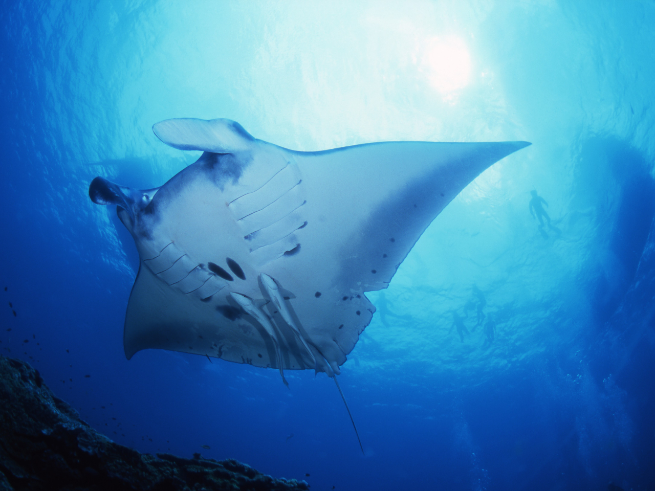 ^ǂ΁Ǎ_CrOł}^邱ƂoI