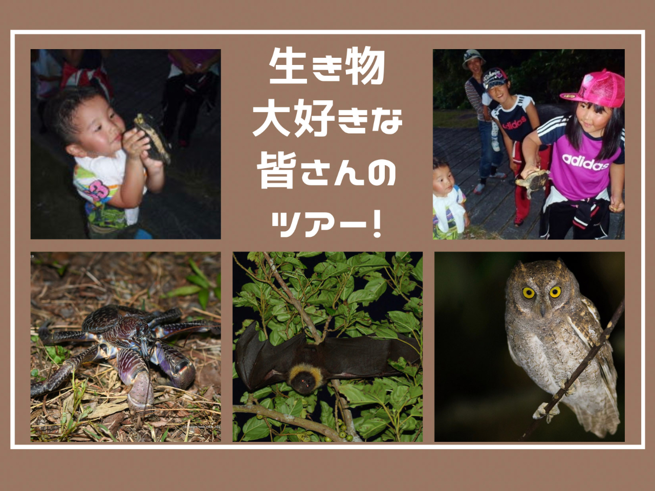 ql܂ŁADȊF̂߂̃cA[łI