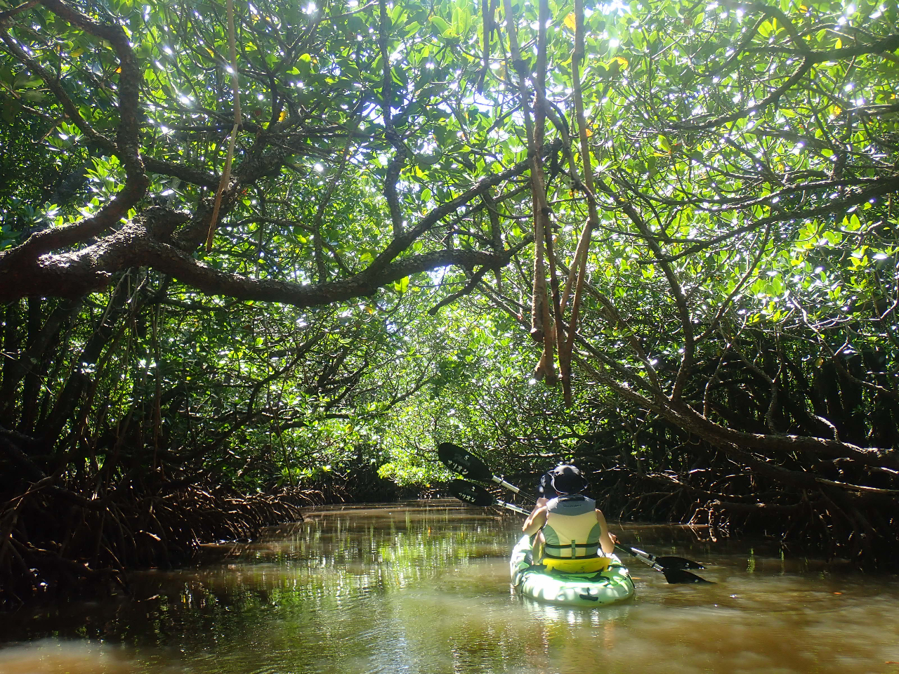 木洩れ日って最高なんですね〜