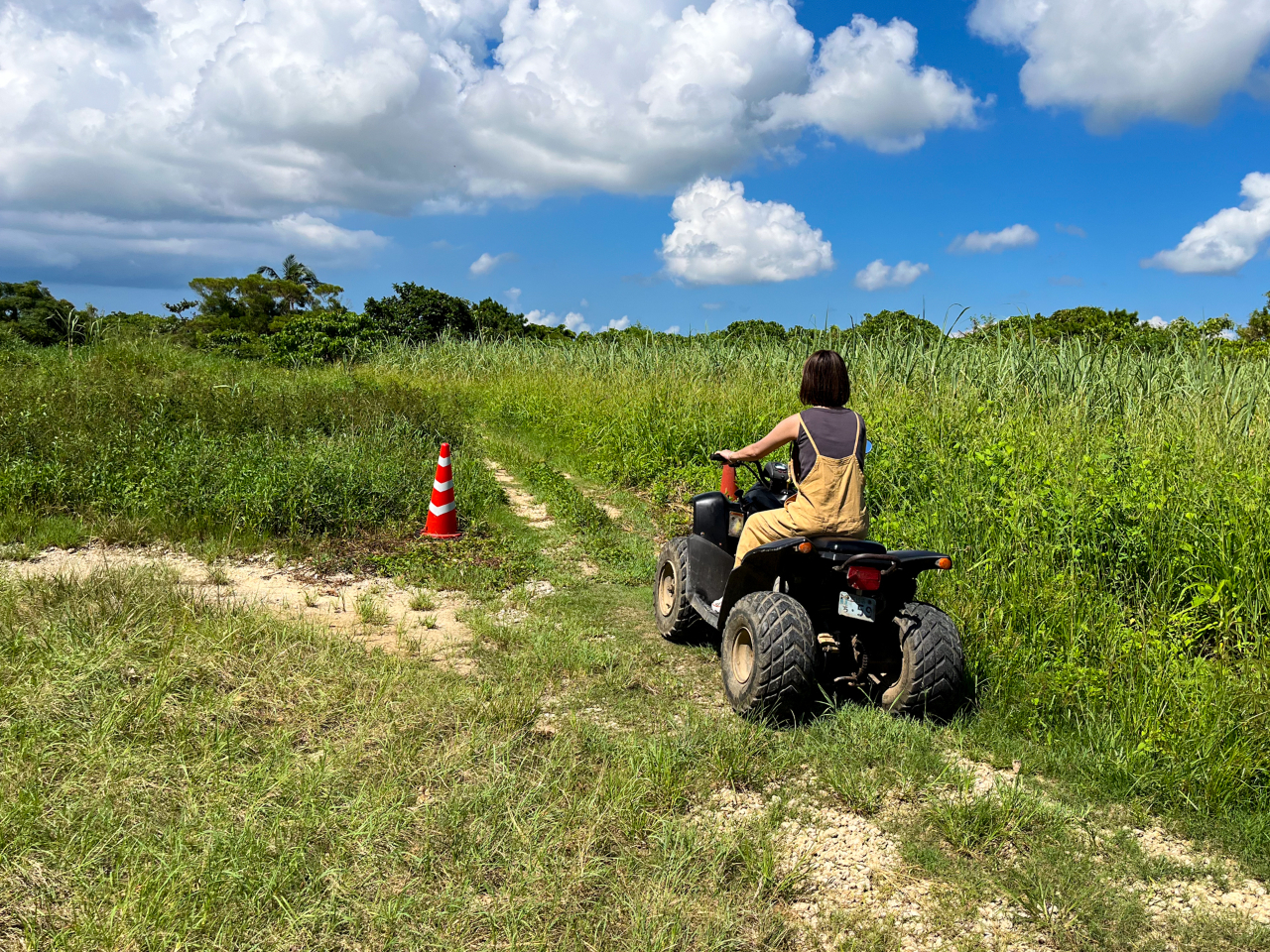 l̗KX^[g(lȂƎq̓͏o܂j