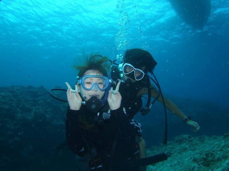ダイブキッズの最新写真