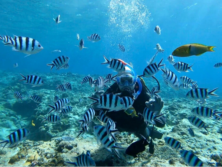 ̑͌cǊԂɂ܂IRfBVǂ͓xłOO