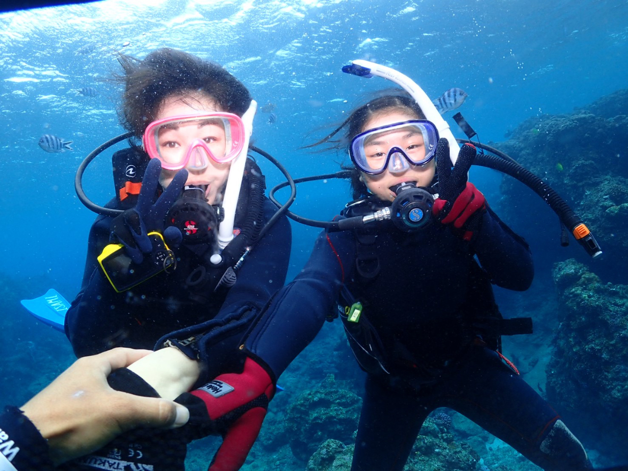 ɐꂽLOBe␅cA[y݂܂傤 ʐ^̓f[^Ńv[g܂