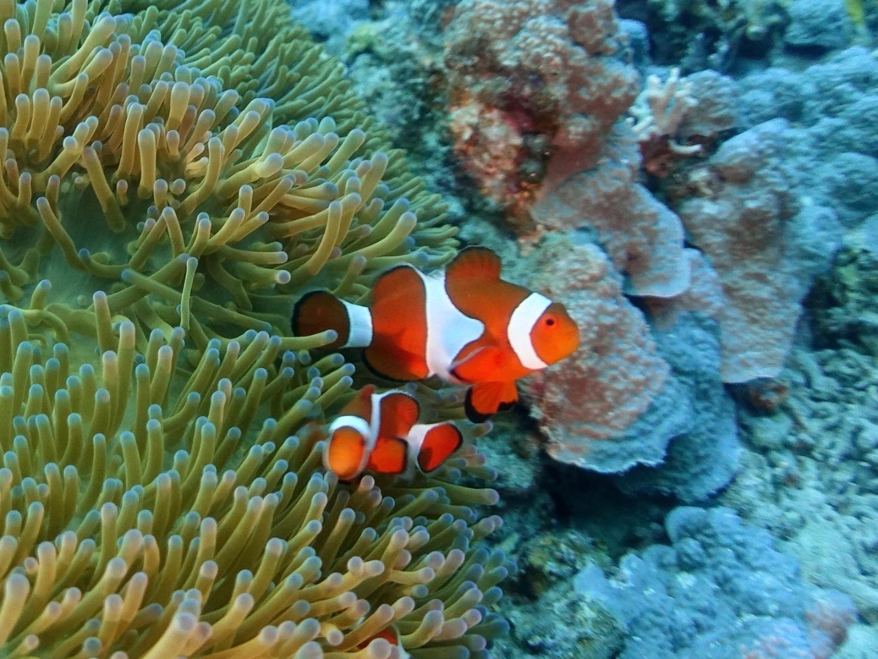 C̑lCAChujv邱ƂI|Cgɂ܂