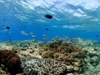 スタッフ貸切♪ 初めての方やお子様と一緒の方も安心してご参加下さい!