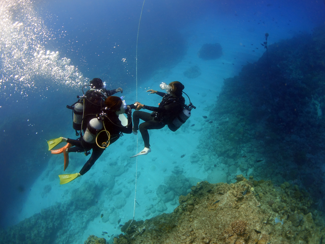 cA[̓CXgN^[ƎqxȂĵŏ߂Ă̂SłIô̓T|[g󂯂ȂS͈̔͂łgŉjŁ