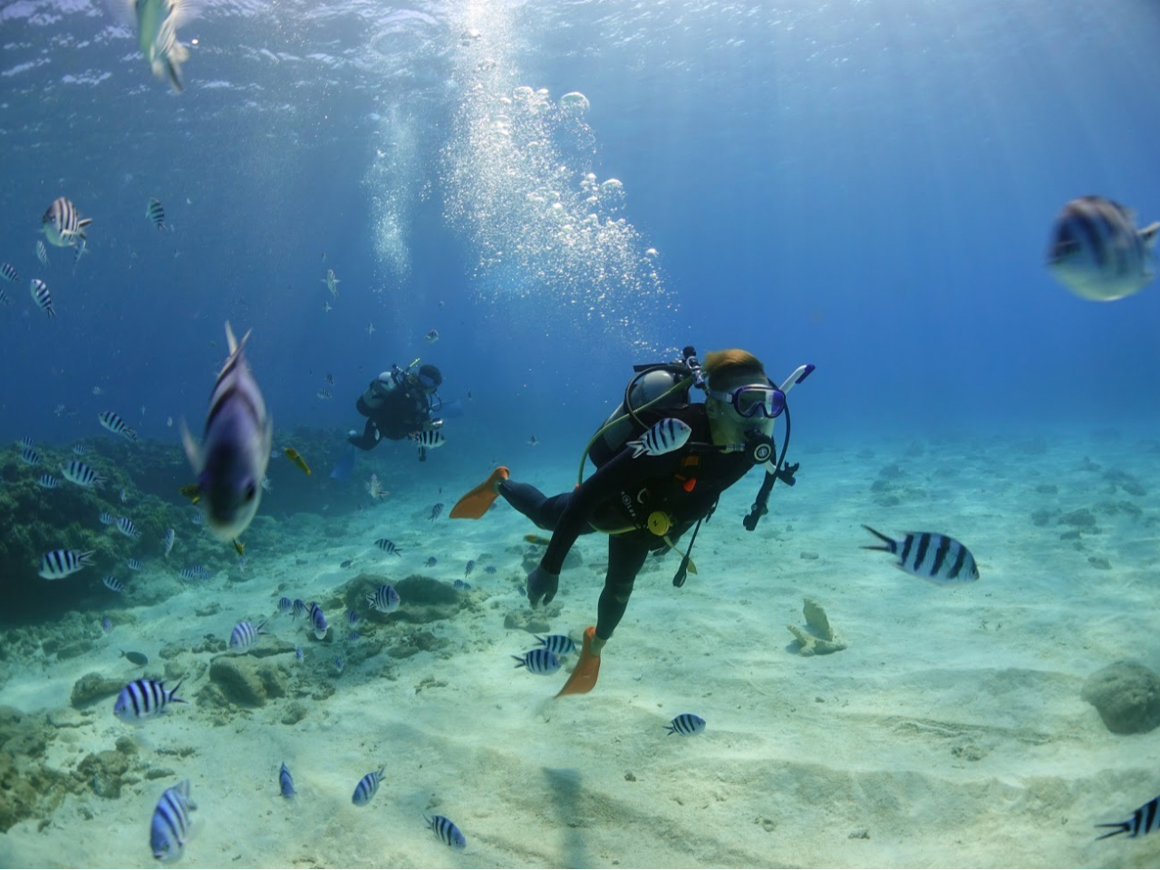 Ă2ڂ͎ŉj悤ɂȂłBł̕V̊o킩悤ɂȂƂƂĂyAa݂ɂȂ܂