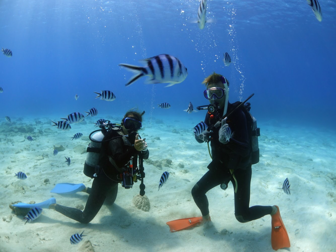 x邢P}̊C͎n߂Ẵ_CrOɍœKłI{[gƌǂȂ[ɍs͂Ȃ̂ňSĉB