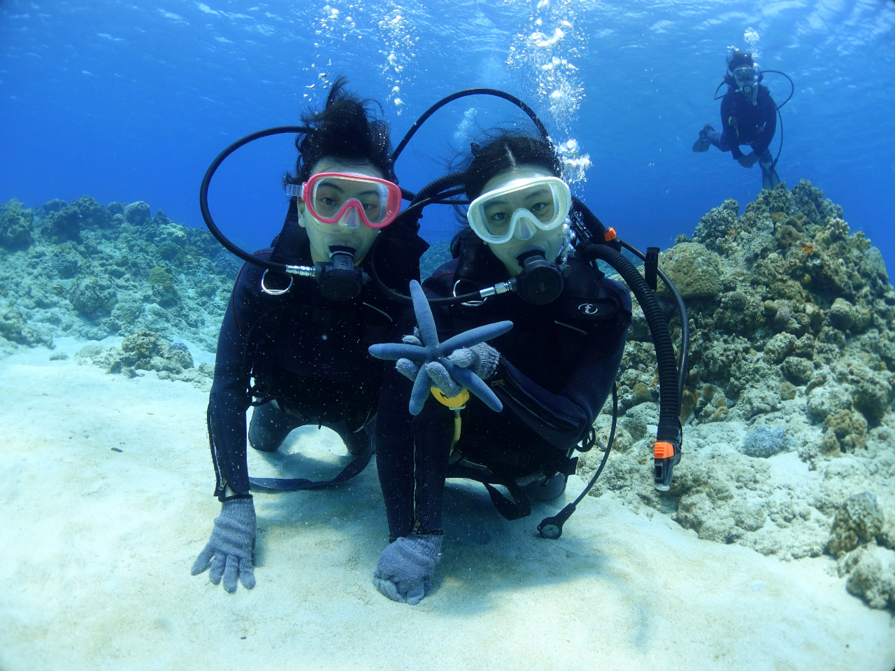 \̃O[vƂ2ɂ1l̃CXgN^[Ɛ܂B̃QXgƈꏏɐ鎖͂܂BLOʐ^ʂŃv[gĂ܂