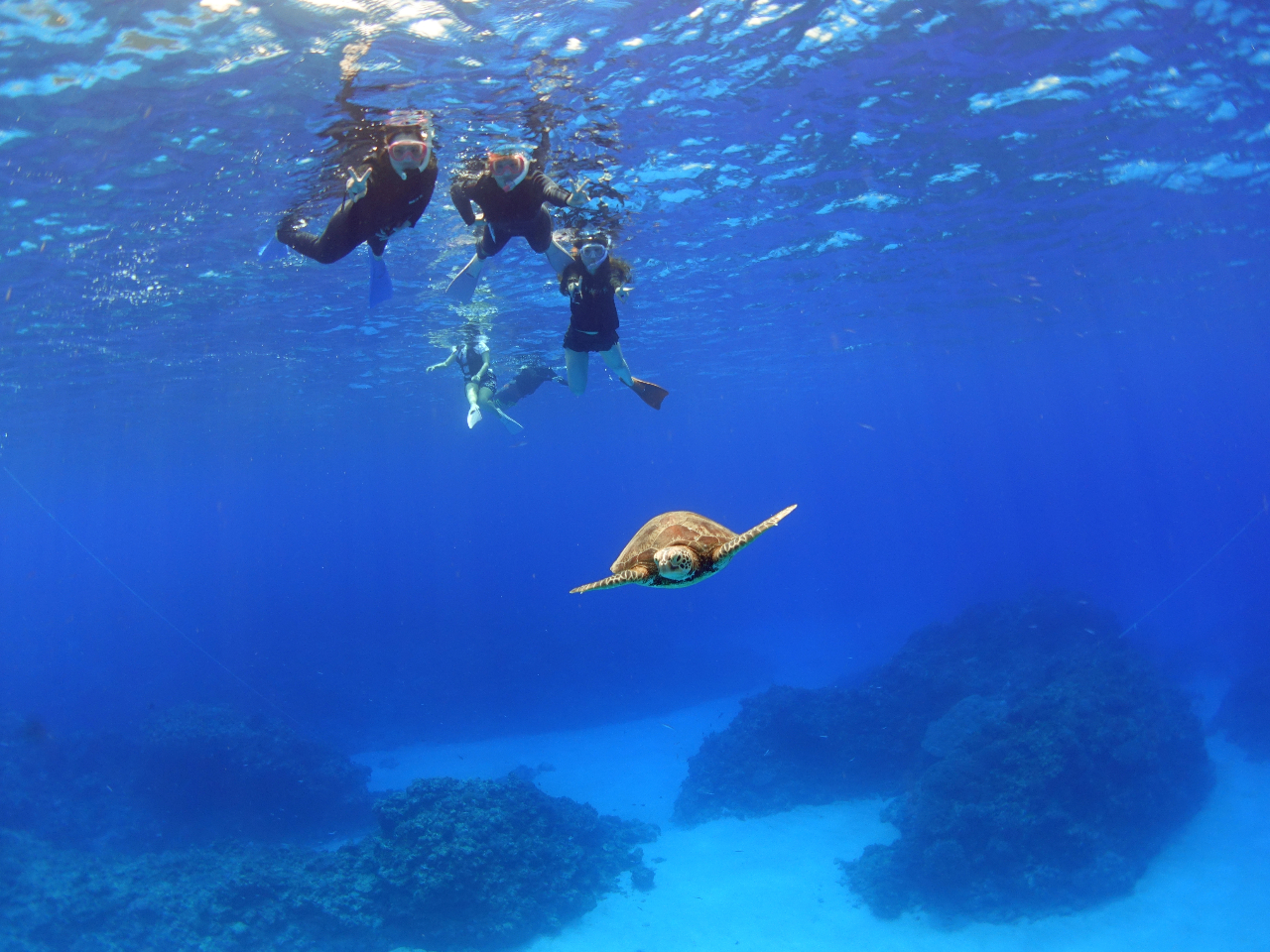 ^悯΃E~Kɏo邱ƂEEEIV`X͊mUPłB