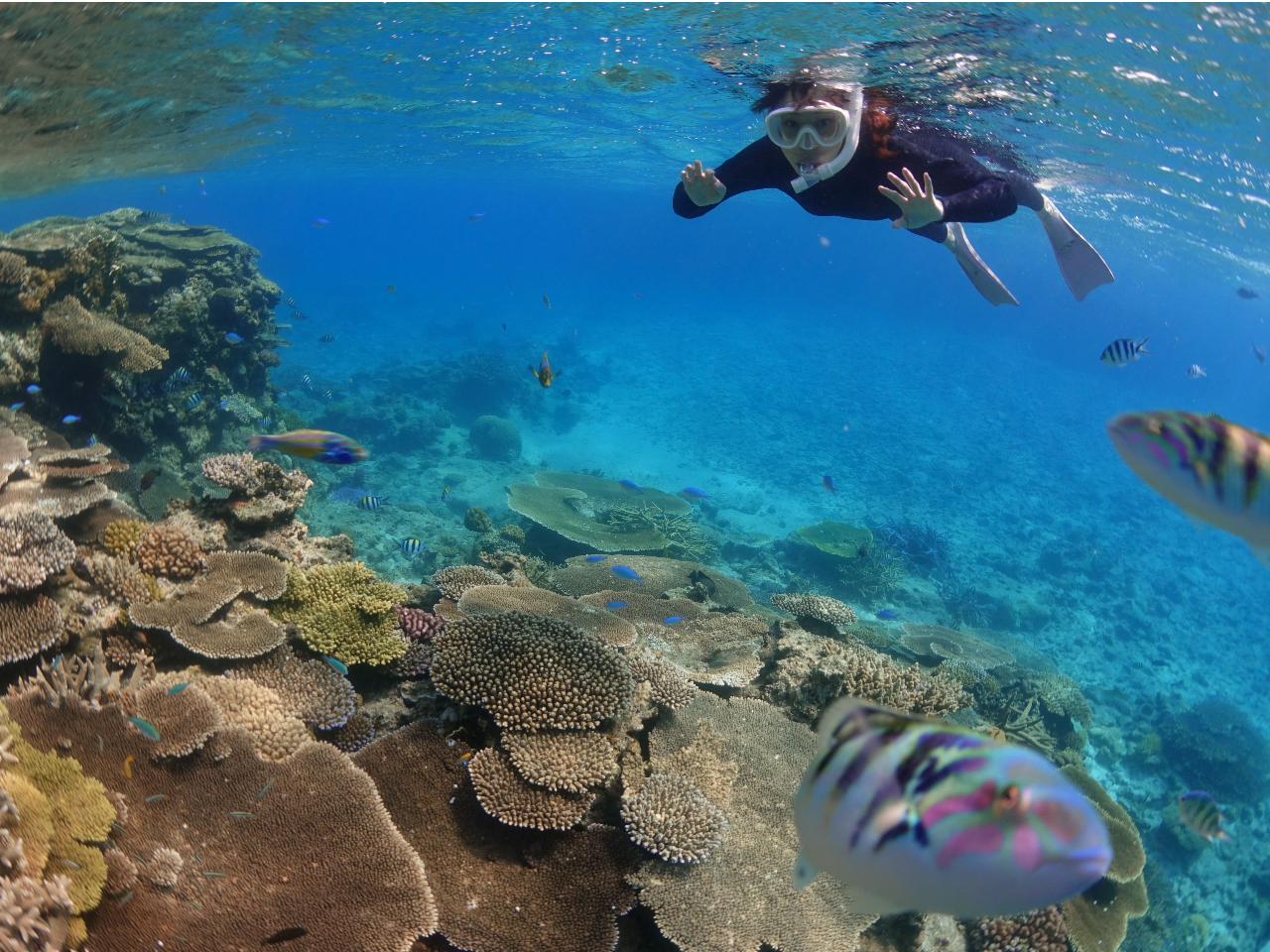 沖縄・北谷発・1日】2～3ポイントをめぐる！ケラマ諸島ボート