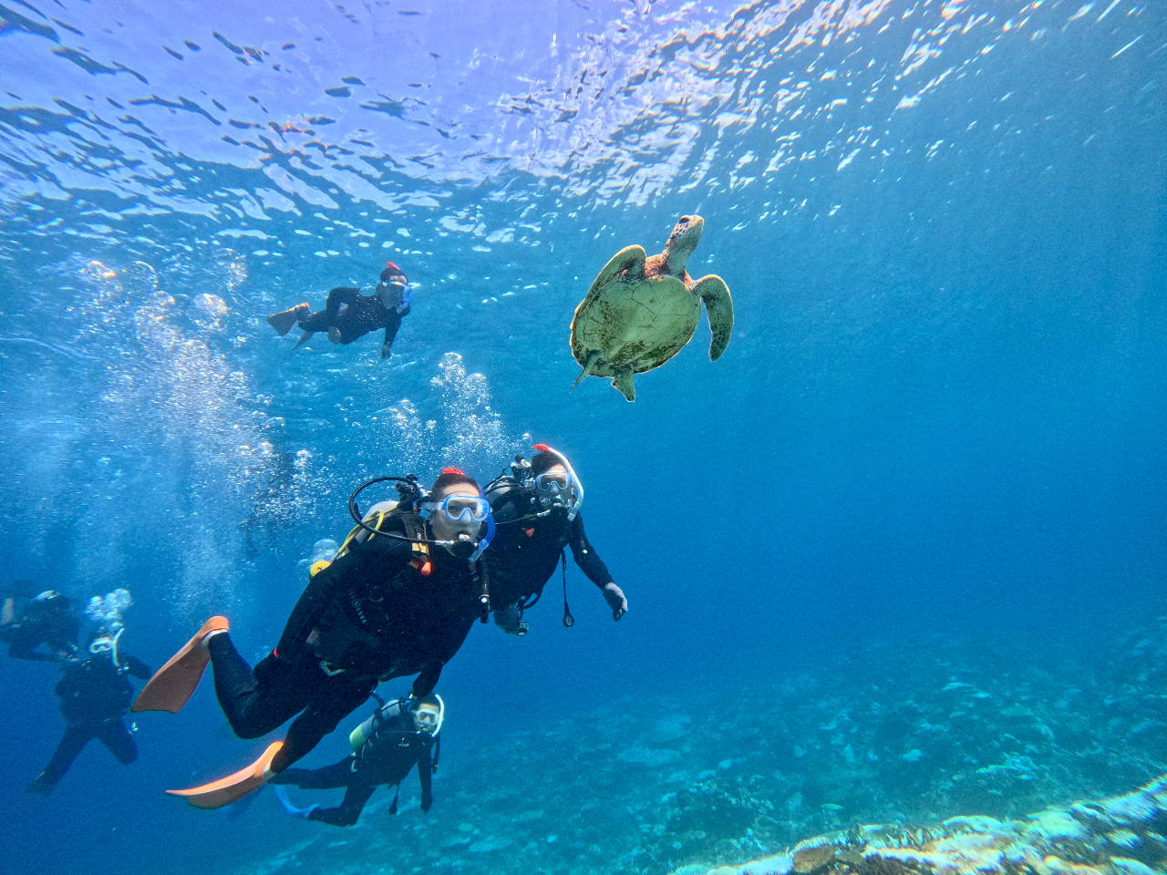 lGA̓P}ɕCG铧xւCłB^ǂ΃E~Kɉ邱Ƃiʐ^̓_CrOIvVłj