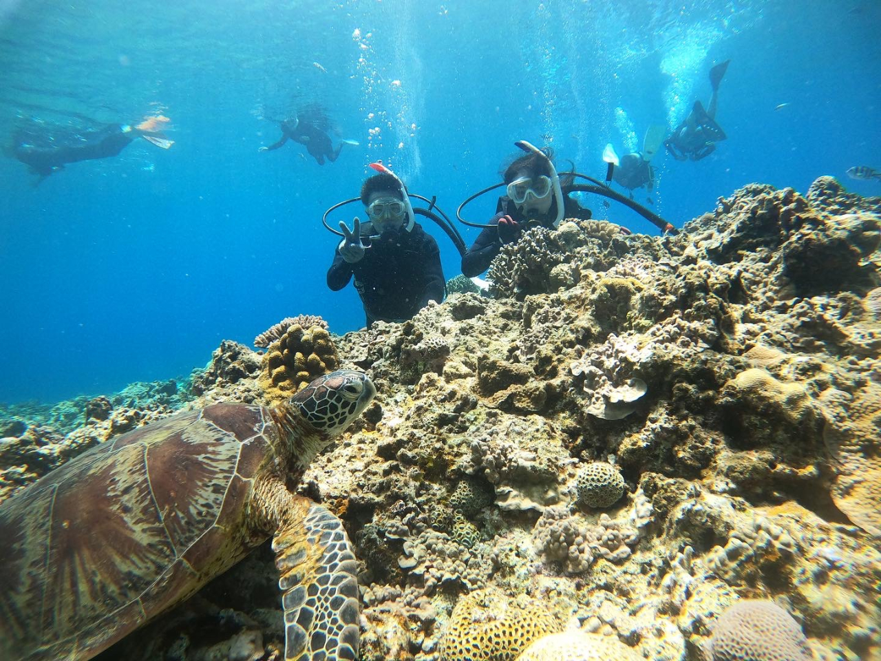 3ڂ̃_CrO͗]ToĂĉjBĂ̂ŏ֖`Ă݂܂傤T͈͂LȂ̂ŃE~KɉmłB