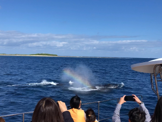 VCƃNW̃uEij͂茩܂I