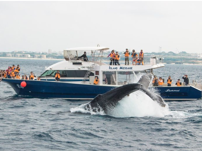 ɂ͂Ȃɋ߂Ŕ͂̃ANV邱ƂB